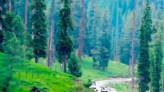 kashmir #gulmarg