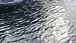 Big Fish