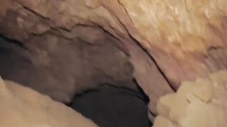 9 Доисторических Животных, Найденных Во Льдах.