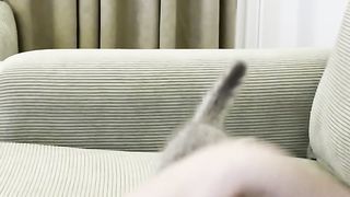 moments random pets