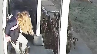 Heroic mom saves terrified five-year-old from raccoon attack _ USA TODAY #Shorts.