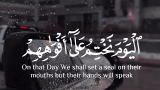 Quran Kareem - ‎‏‎#قرآن_كريم #quranic_mind
