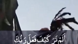 Surat Al-Fil (the Elephant)#shorts #shortsvideo #quran