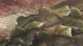 The best Film, The Great wall