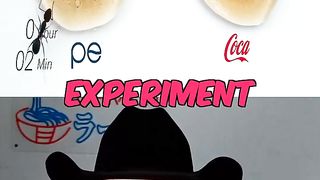 Do ANTS like Coke or Pepsi Better