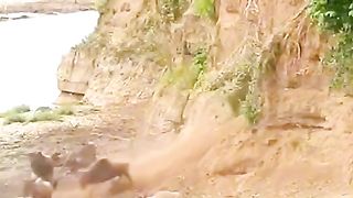 Amazing videos vol 584