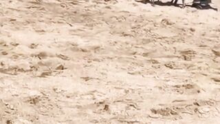 funny videos of Pja