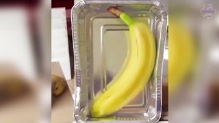 HFM COUB 1 Октябрь BEST CUBE Best Coub Приколы 2019 Gifs With Sound Best Fails