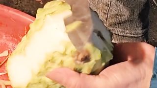 Buah terlangka