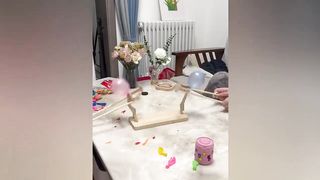 Funny Moments Of The Week _ Funny Fails _ Like A Boss Compilation