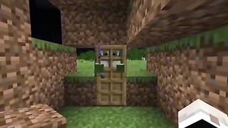 Funny Minecraft sus