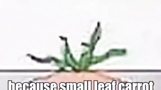 My English irl funny moment