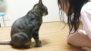 Funny videos