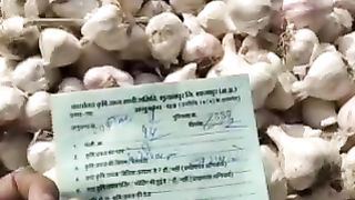 Today garlic mandi bhav in India