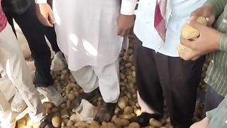 Today potato mandi bhav in India