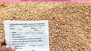 Soybean mandi bhav in India
