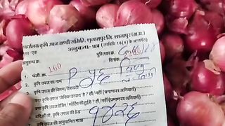 Today onion mandi rate in India
