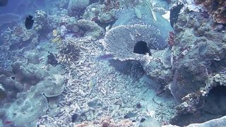 "Soothing Waves: A Visual Journey Across the World's Oceans"