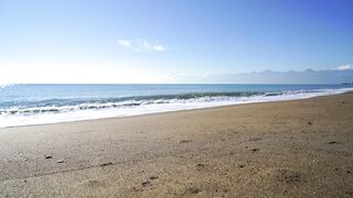 "Journey to the Heart of the Ocean: A Sensory Experience"