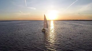 "Sea Symphony: Nature's Melody"
