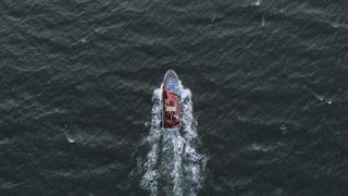 "Aquatic Allure: An Enchanting Dive"