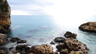 "Beyond the Horizon: A Journey into the Blue"