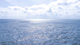 "Coastal Bliss: Embracing the Beauty of the Seashore"
