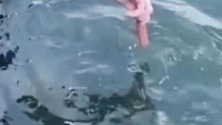 Next Level Fishing Technique...WOW