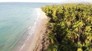 "Coastal Chronicles: Tales of Adventure Along the Shoreline"