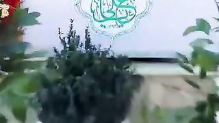 Mola Raza A.S