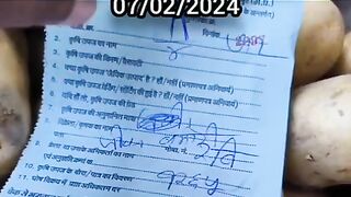 Potato mandi Bhav today 07/02/2024