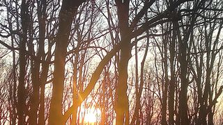 Beautiful nature  160