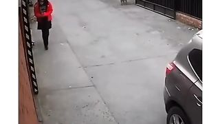 The stray dog saved the girl #respect