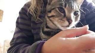 I will love you, human