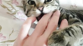 This happens when I try to pet the baby