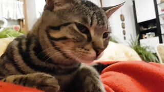 You will want to hug me