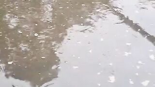 Air kolam HITAM kolam tanah semi BETON, Jangan khawatir, fokus ke ikannya