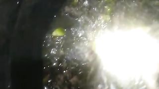 Pakan alternatif + eceng direbus ???? jadi kayak sayur lodeh