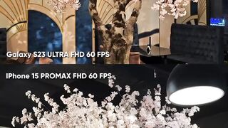 iPhone 15 pro & s24 ultra camera test