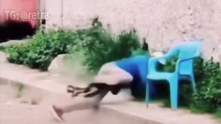 A hard prank with a huge spider