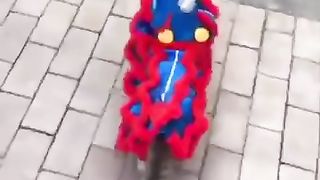 (FUNNY) CAT with LION dance COSTUME