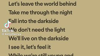 Alan walker , $rk side