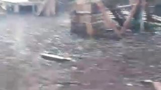 Jumlah kolam dan luas lahan adalah PAMOR pembudidaya dan tanda keseriusan, bandar besar juga akan melirik