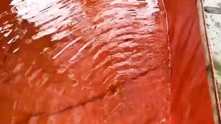 Ikan lele memang hidup di air, tapi air seperti apa yang diinginkan oleh ikan lele❓Think about it