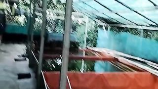 Saya tidak mempermasalahkan AIR HUJAN dalam budidaya ikan lele