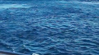 Vacation by ship from Java to Bali