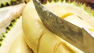 Raja buah