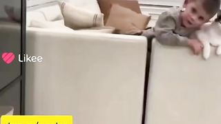смешные видео с животными