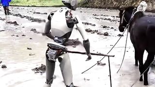Robots replace humans to do everything