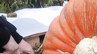 Amazing videos vol 593